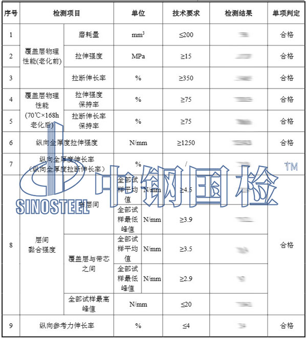 傳送帶檢測項目結果