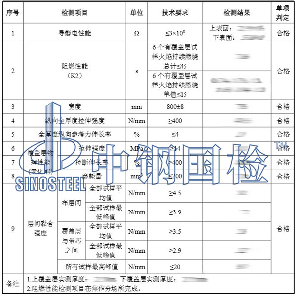 皮帶檢測項目結果