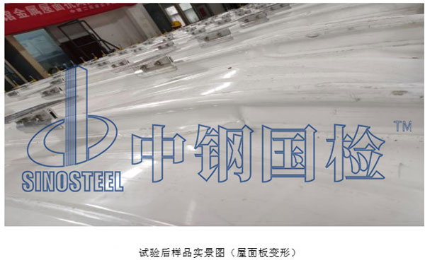 試驗后樣品實景圖