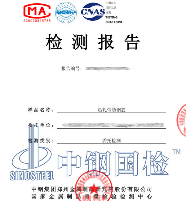 epc工程工藝檢測報告