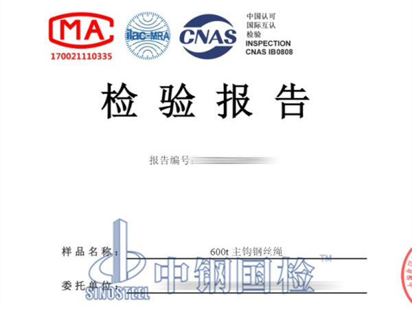 600t主鉤鋼絲繩無損檢測報告