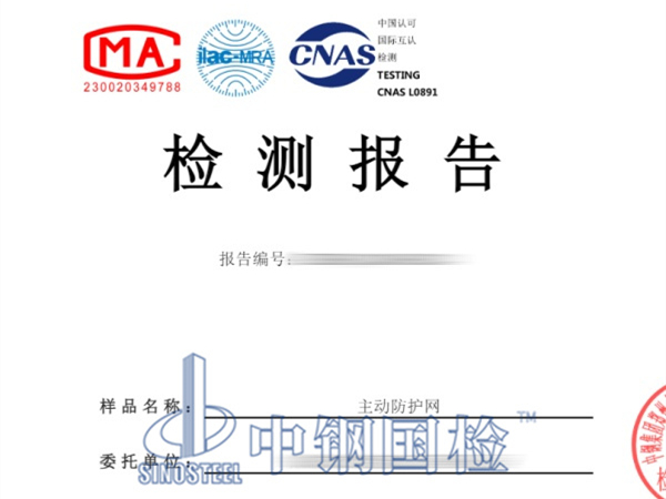 主動(dòng)防護(hù)網(wǎng)檢測(cè)報(bào)告