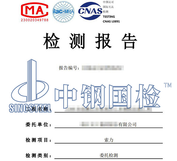 老舊橋梁吊索檢測報告