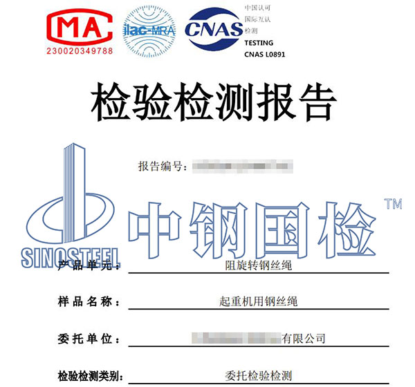 起重機吊具檢測報告